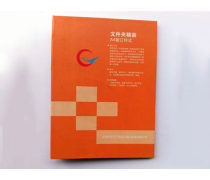 產品圖文設計制作全攻略 打造視覺與信息兼備的產品庫